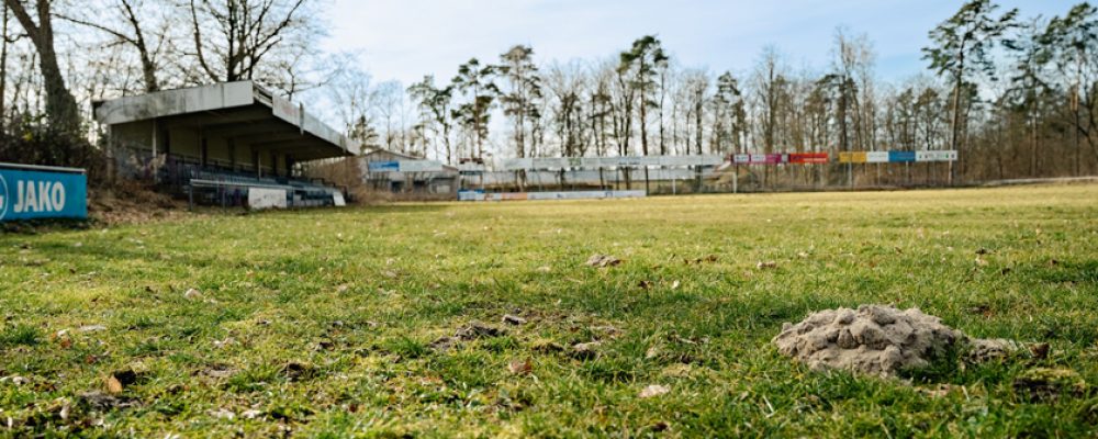 Der Jugend eine Heimat geben