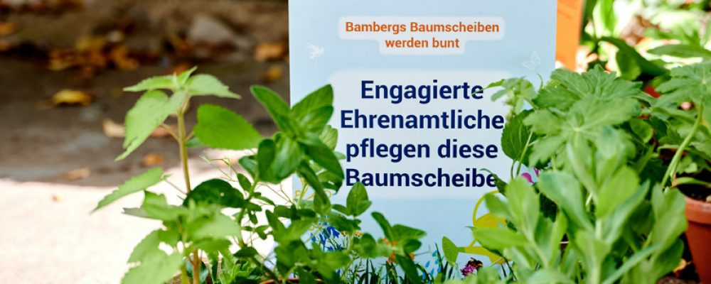 Kostenlose Pflanzpakete  für Ehrenamtliche