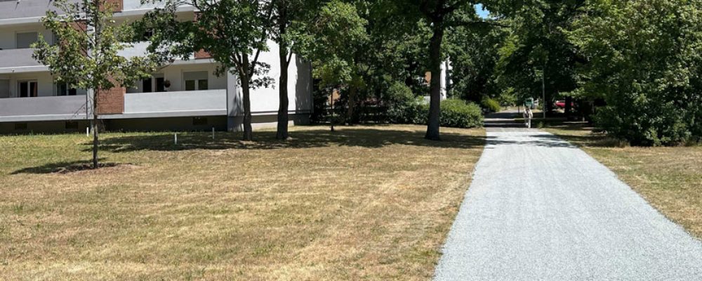 Schnell und hell:  Wegesanierung neu gedacht