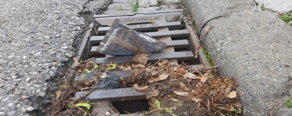 Flussparadies sucht Müll-Sammler