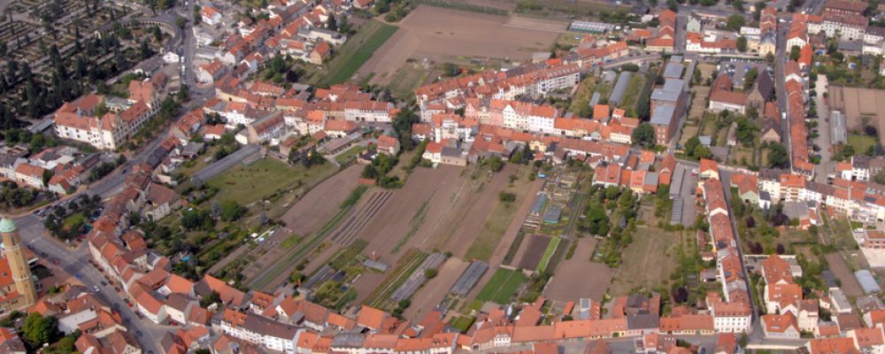 Urbaner Gartenbau von internationalem Interesse