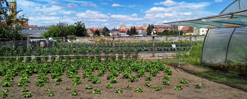 Corona lässt uns nachhaltiger konsumieren